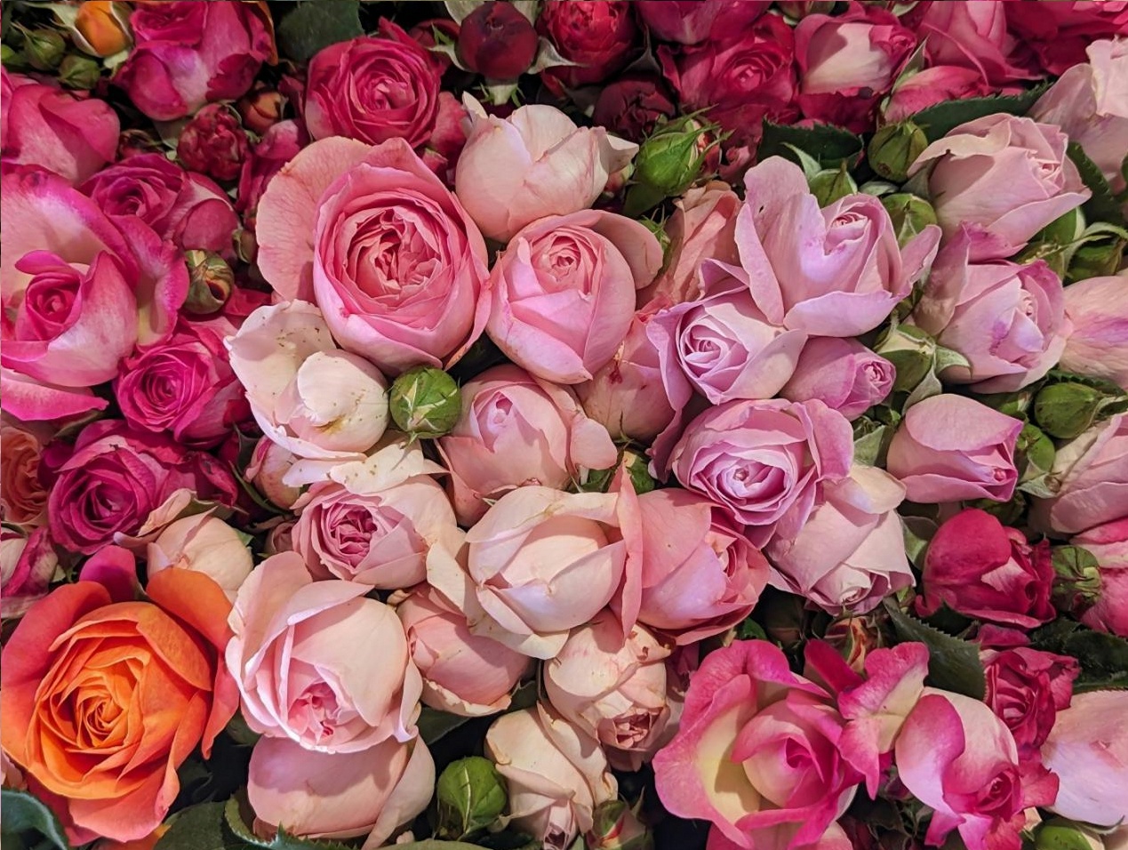 Historical floral arrangement demonstrating traditional techniques