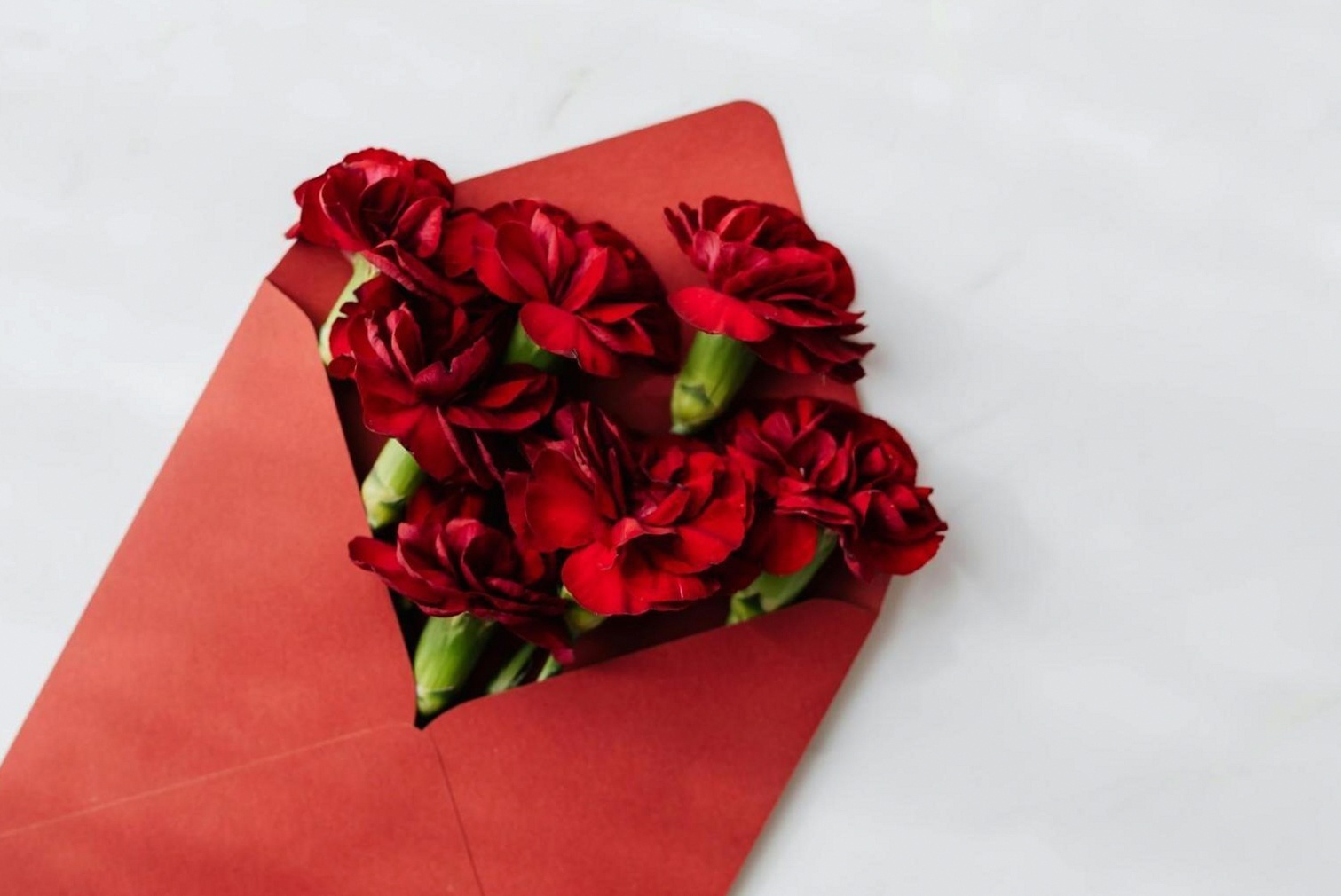 Archive of historical floral design materials