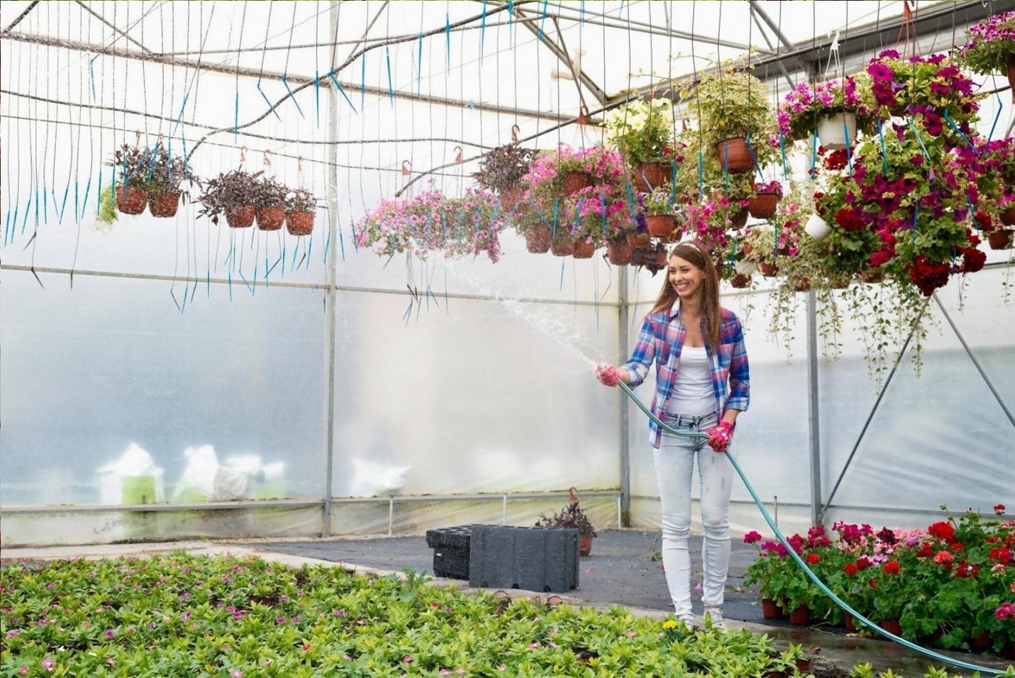 Ancient Floral Traditions: From Egypt to Rome